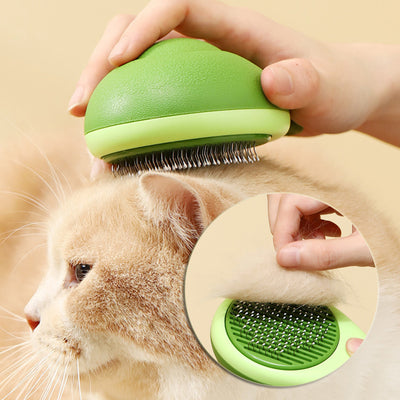 cat grooming tools